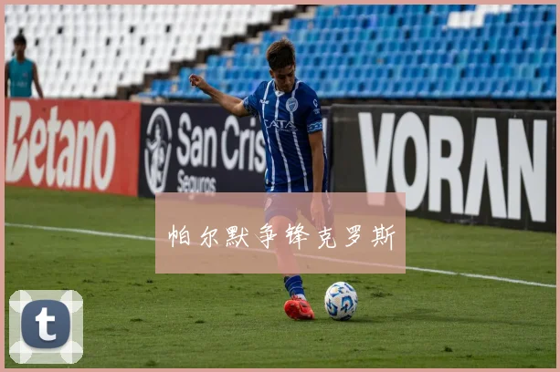 帕尔默争锋克罗斯