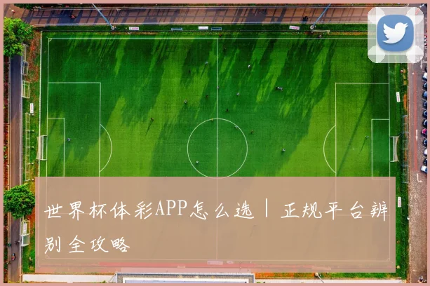 世界杯体彩APP怎么选｜正规平台辨别全攻略