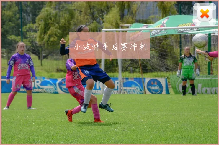 小波特季后赛冲刺