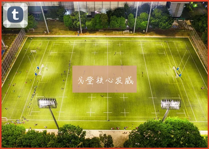 戈登核心发威